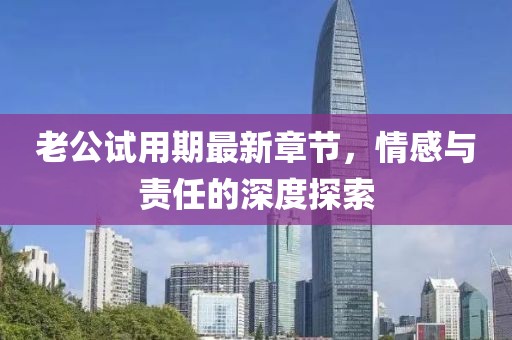 老公試用期最新章節(jié)，情感與責任的深度探索