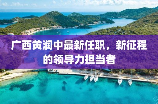 廣西黃潤(rùn)中最新任職，新征程的領(lǐng)導(dǎo)力擔(dān)當(dāng)者
