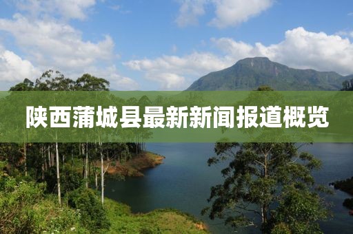 陜西蒲城縣最新新聞報道概覽