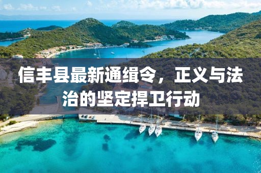 信豐縣最新通緝令，正義與法治的堅定捍衛(wèi)行動