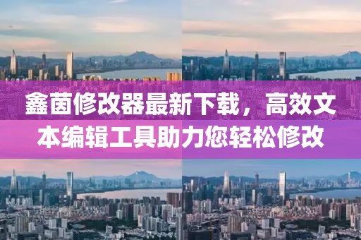 鑫茵修改器最新下載，高效文本編輯工具助力您輕松修改