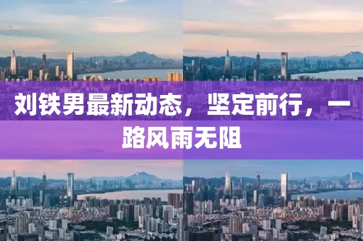 劉鐵男最新動態(tài)，堅定前行，一路風雨無阻