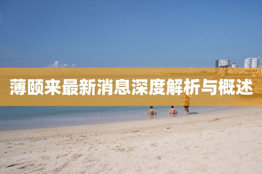 薄頤來最新消息深度解析與概述