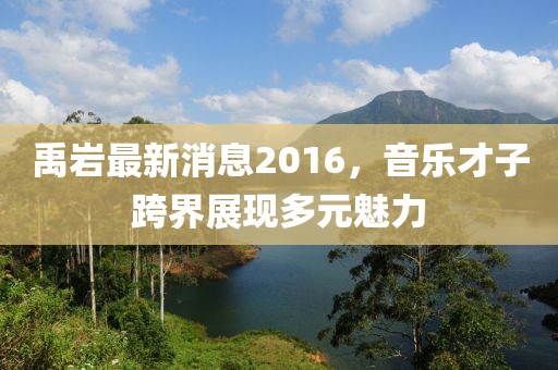 禹巖最新消息2016，音樂才子跨界展現(xiàn)多元魅力