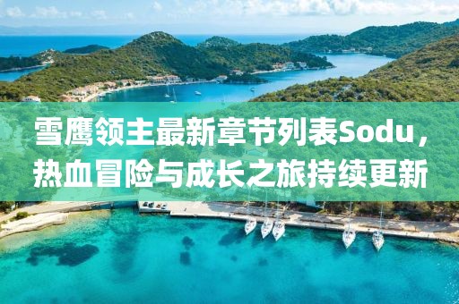 雪鷹領(lǐng)主最新章節(jié)列表Sodu，熱血冒險與成長之旅持續(xù)更新