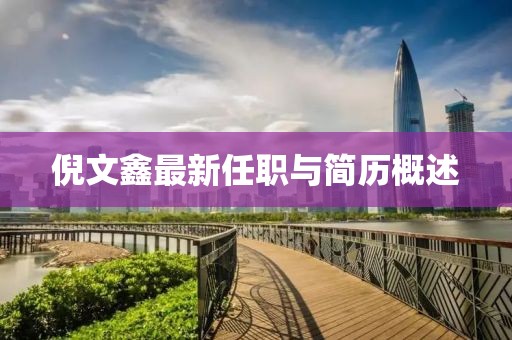 倪文鑫最新任職與簡歷概述