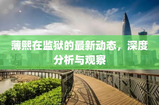 薄熙在監(jiān)獄的最新動態(tài)，深度分析與觀察