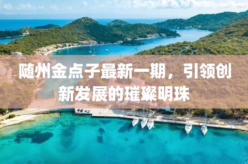 隨州金點(diǎn)子最新一期，引領(lǐng)創(chuàng)新發(fā)展的璀璨明珠