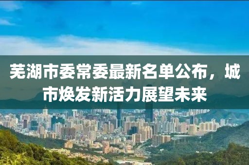 蕪湖市委常委最新名單公布，城市煥發(fā)新活力展望未來(lái)