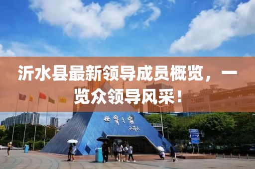 沂水縣最新領(lǐng)導(dǎo)成員概覽，一覽眾領(lǐng)導(dǎo)風(fēng)采！