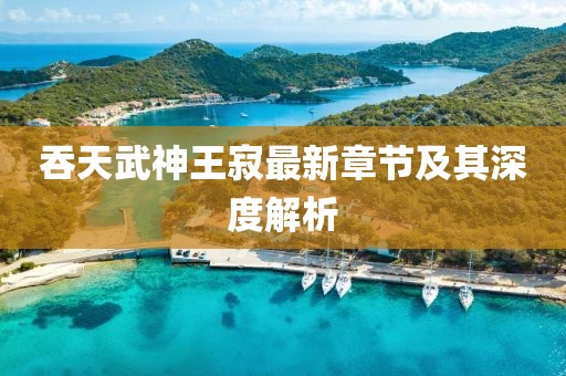 吞天武神王寂最新章節(jié)及其深度解析