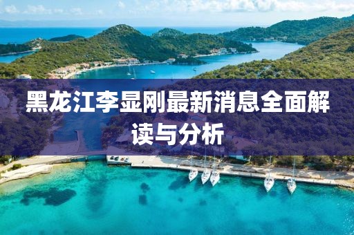黑龍江李顯剛最新消息全面解讀與分析
