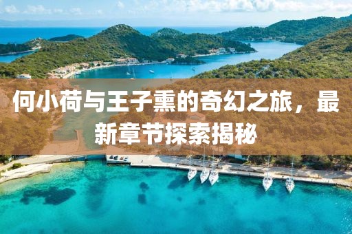 何小荷與王子熏的奇幻之旅，最新章節探索揭秘