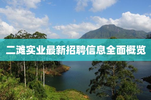 二灘實(shí)業(yè)最新招聘信息全面概覽