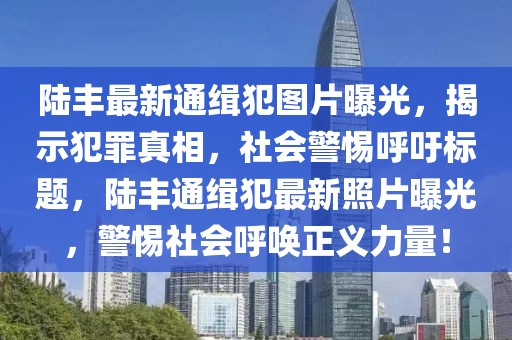 陸豐最新通緝犯圖片曝光，揭示犯罪真相，社會警惕呼吁標(biāo)題，陸豐通緝犯最新照片曝光，警惕社會呼喚正義力量！
