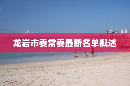 龍巖市委常委最新名單概述