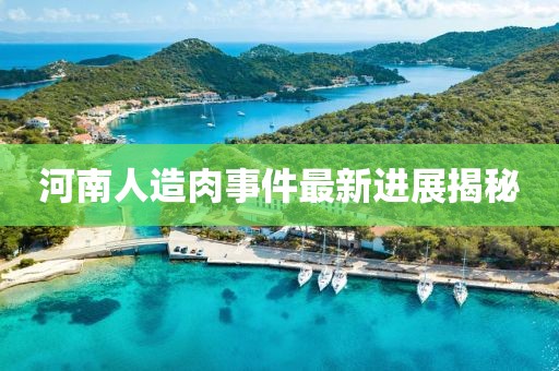 河南人造肉事件最新進(jìn)展揭秘