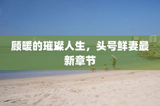 顧暖的璀璨人生，頭號(hào)鮮妻最新章節(jié)