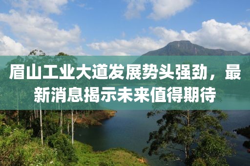 眉山工業(yè)大道發(fā)展勢頭強(qiáng)勁，最新消息揭示未來值得期待