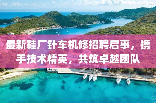 最新鞋廠針車機(jī)修招聘啟事，攜手技術(shù)精英，共筑卓越團(tuán)隊(duì)