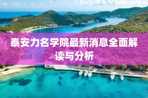 泰安力名學院最新消息全面解讀與分析