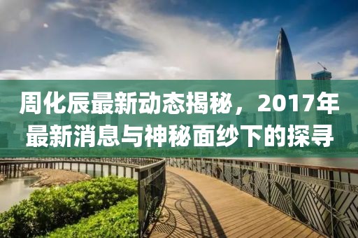 周化辰最新動(dòng)態(tài)揭秘，2017年最新消息與神秘面紗下的探尋