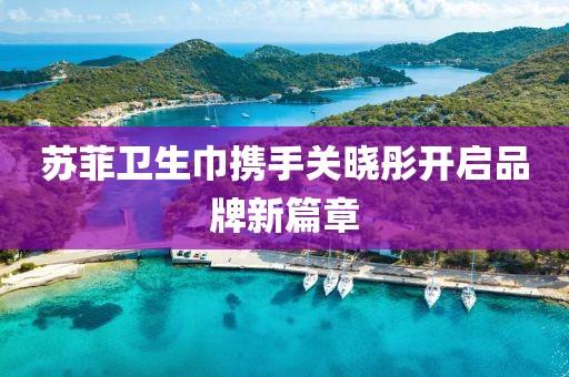 蘇菲衛(wèi)生巾攜手關曉彤開啟品牌新篇章