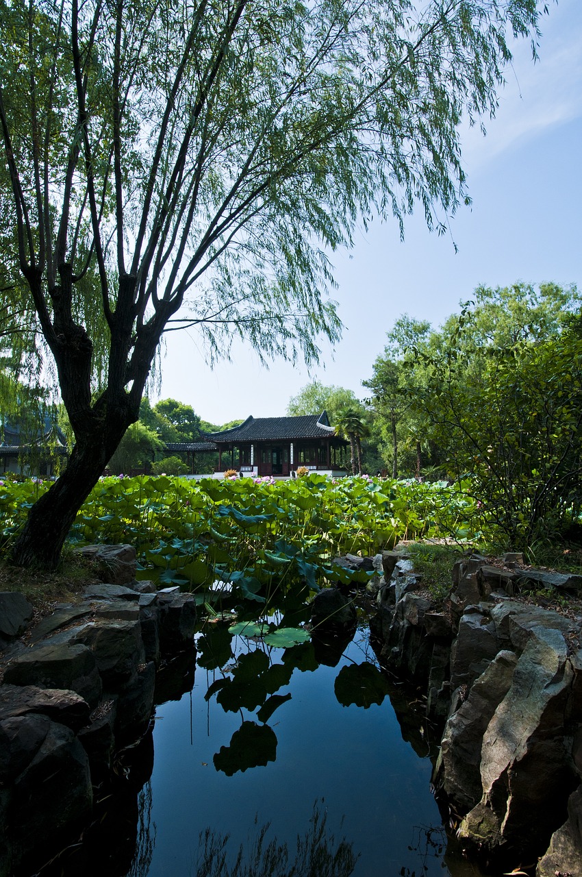 津雄鐵路最新進(jìn)展、影響與展望，揭秘最新動(dòng)態(tài)與未來(lái)趨勢(shì)
