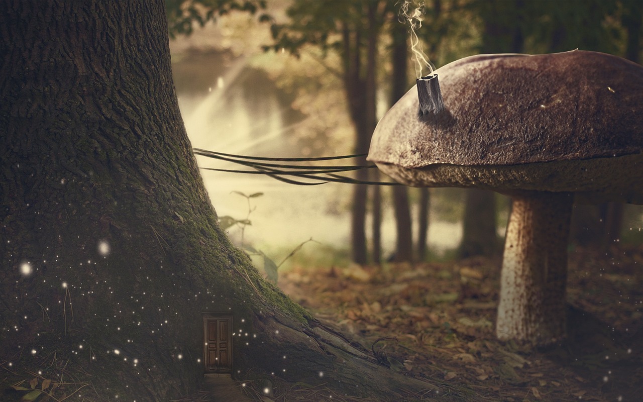 高考最新消息更新，最新動(dòng)態(tài)與變化解讀