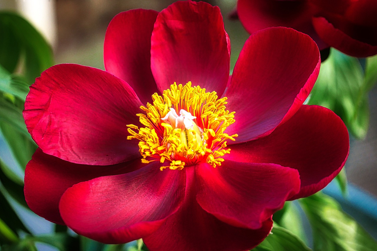 退休交醫(yī)保政策最新動(dòng)態(tài)，調(diào)整、展望與未來趨勢(shì)