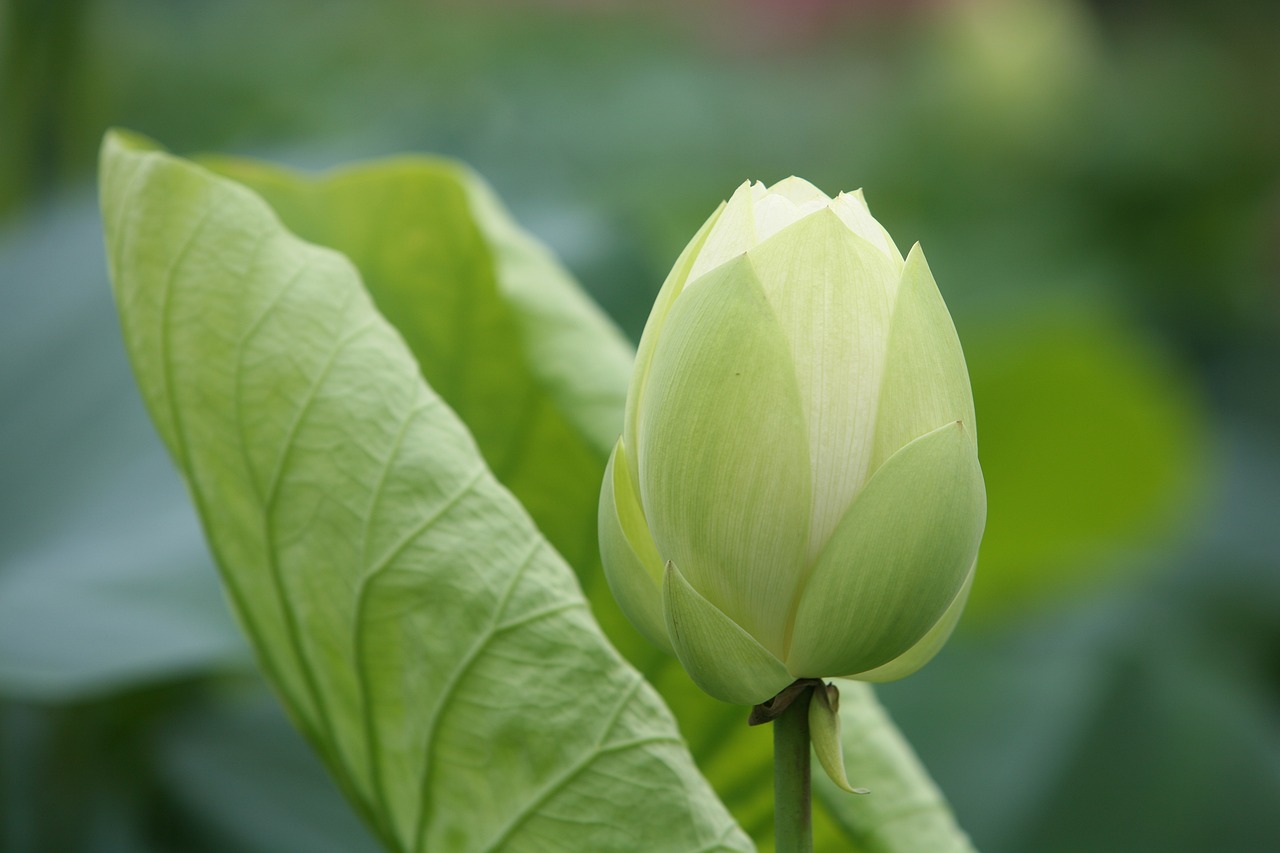大地傳媒重組最新動(dòng)態(tài)，重塑傳媒產(chǎn)業(yè)格局取得重大進(jìn)展
