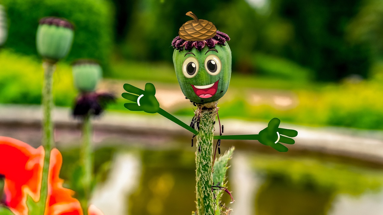 阿凡提下載免費最新版，智慧與樂趣的完美融合體驗