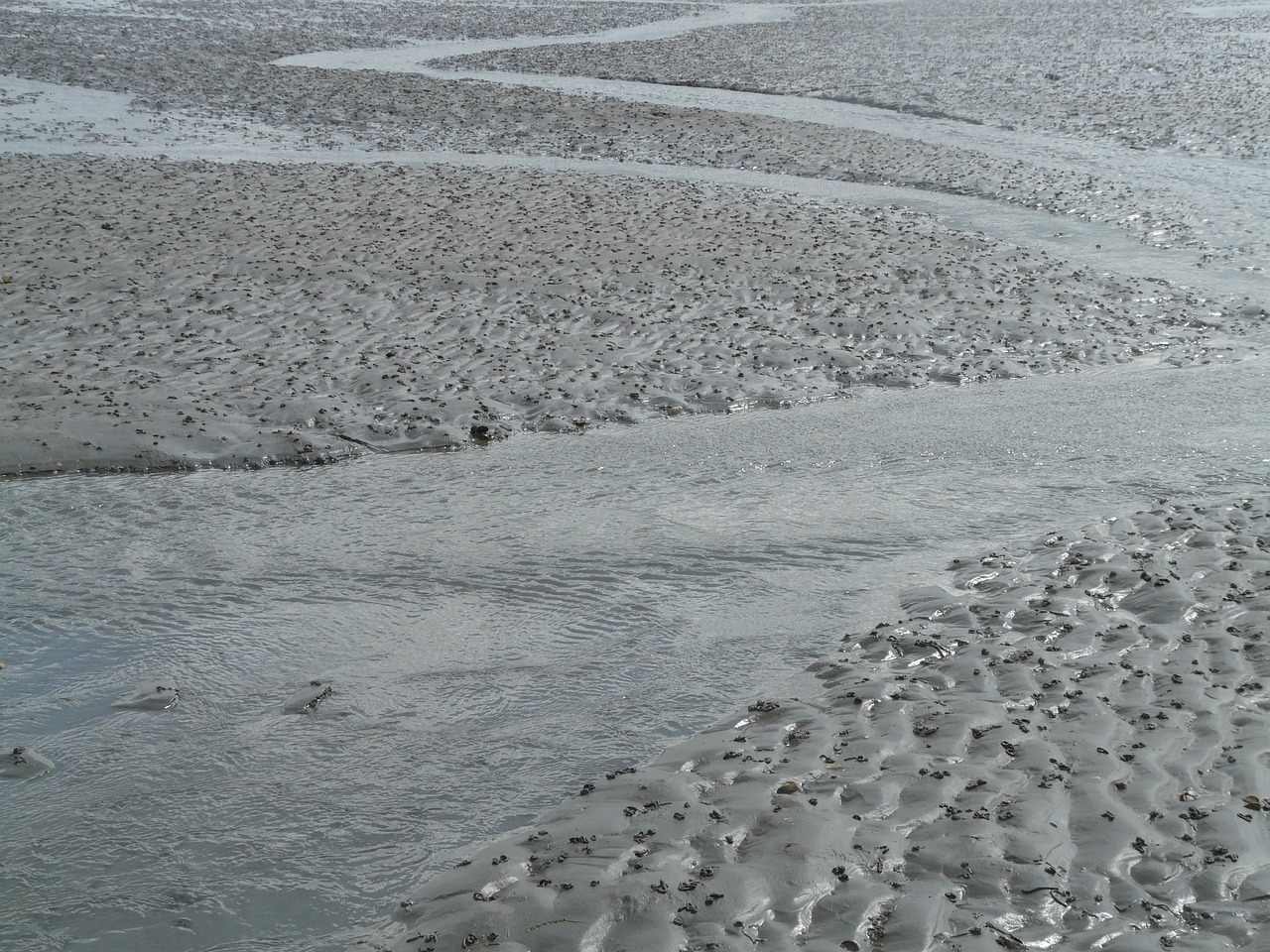 北海傳銷最新動態(tài)曝光，真相揭秘與風險警惕