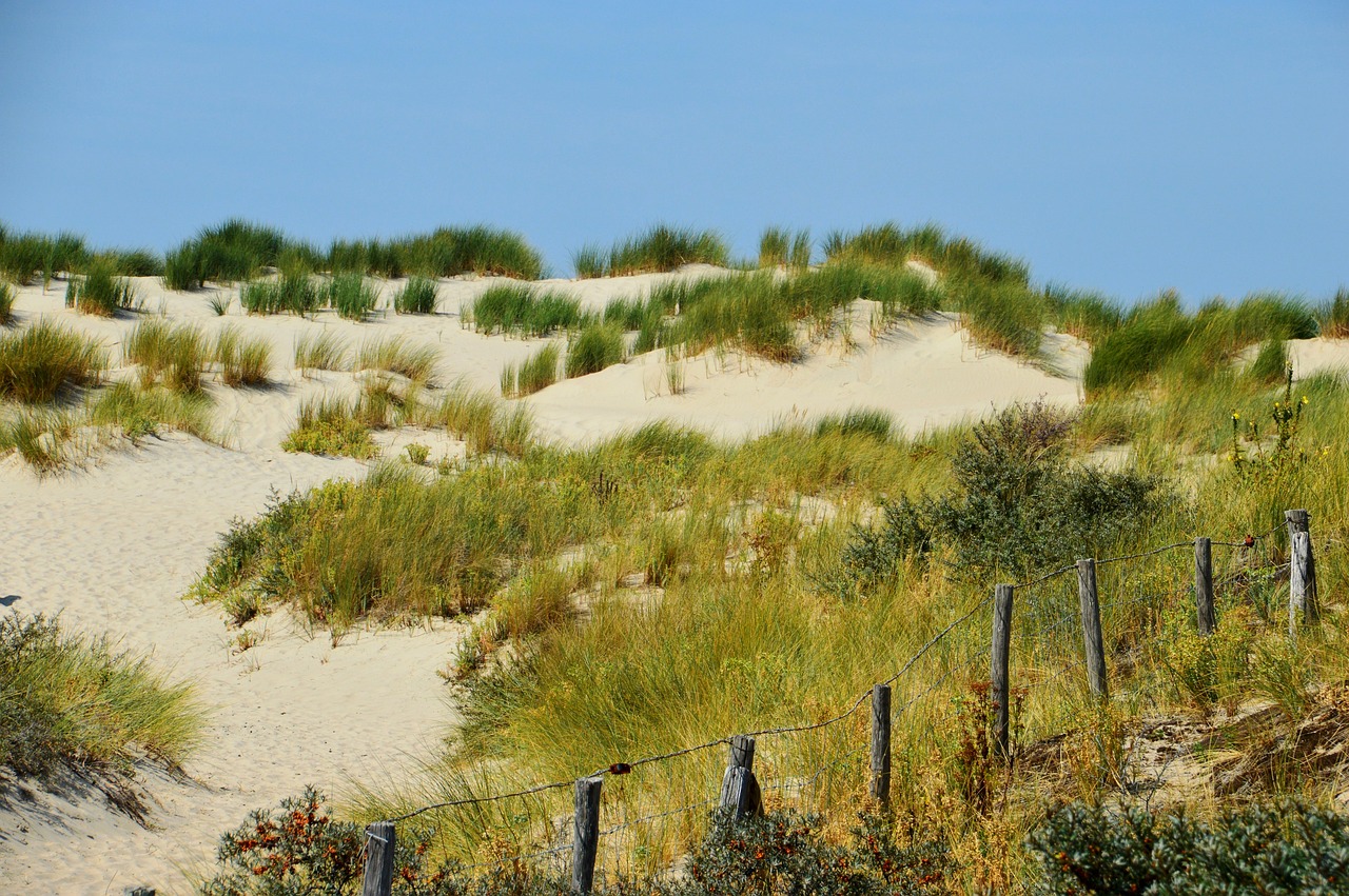 海啟高速如東最新消息概覽，最新動(dòng)態(tài)與進(jìn)展報(bào)告