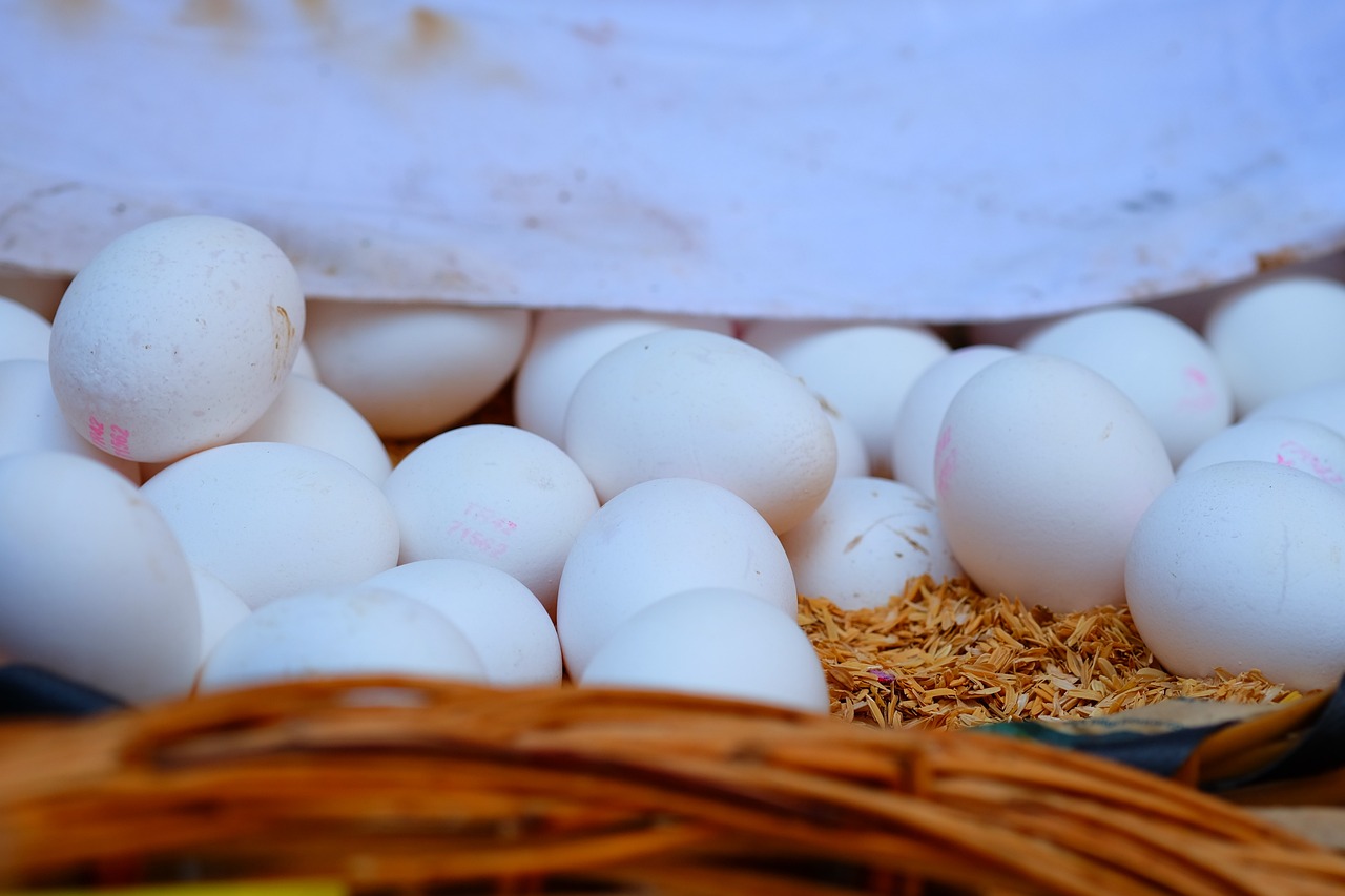 貴港白凹窩最新動(dòng)態(tài)，城市發(fā)展的熱點(diǎn)與未來展望