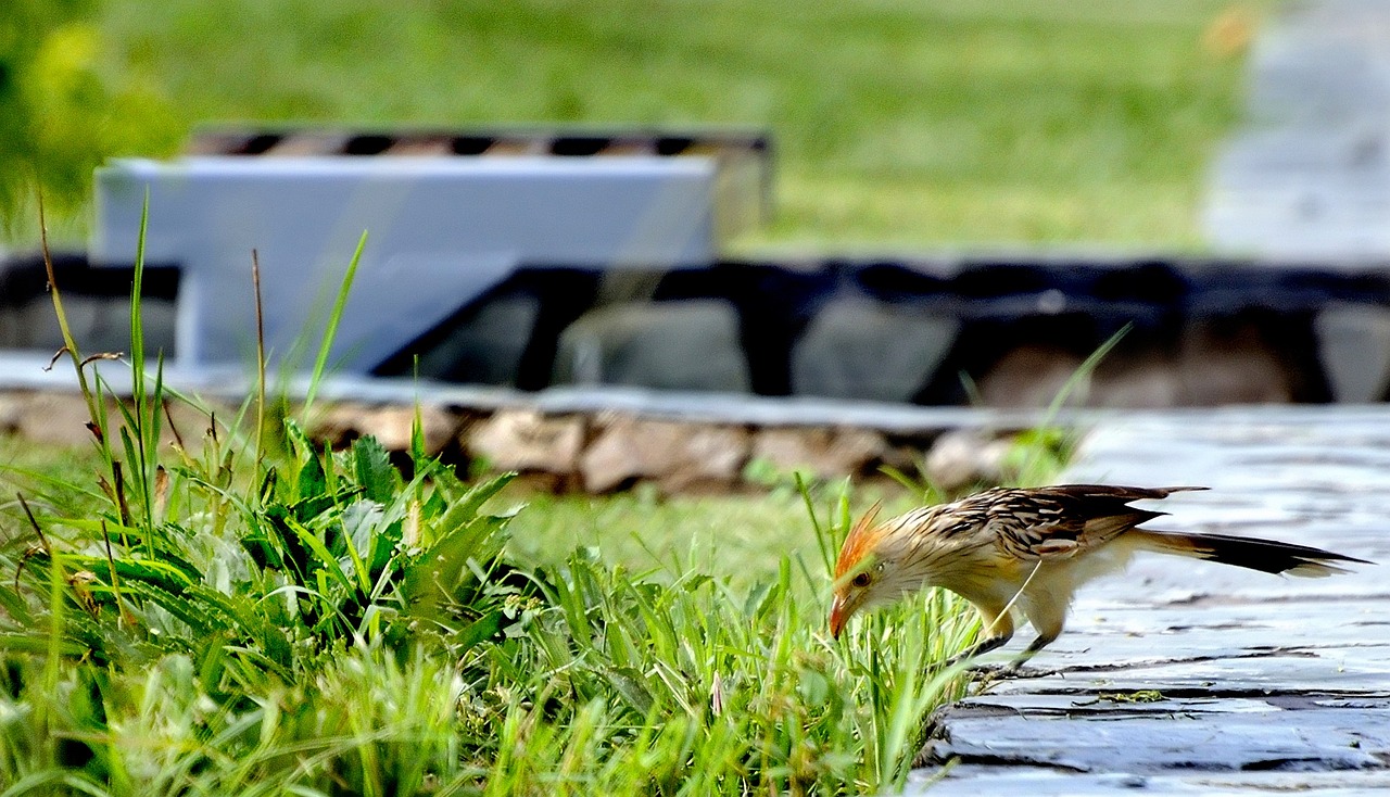 蚌埠匯金廣場最新動態(tài)更新，最新消息一覽
