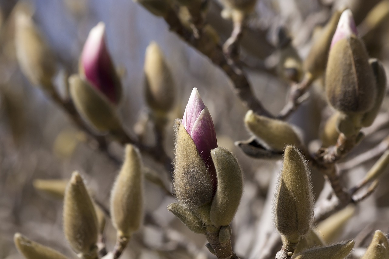 泗陽高鐵最新進展報告更新，最新動態(tài)揭秘！