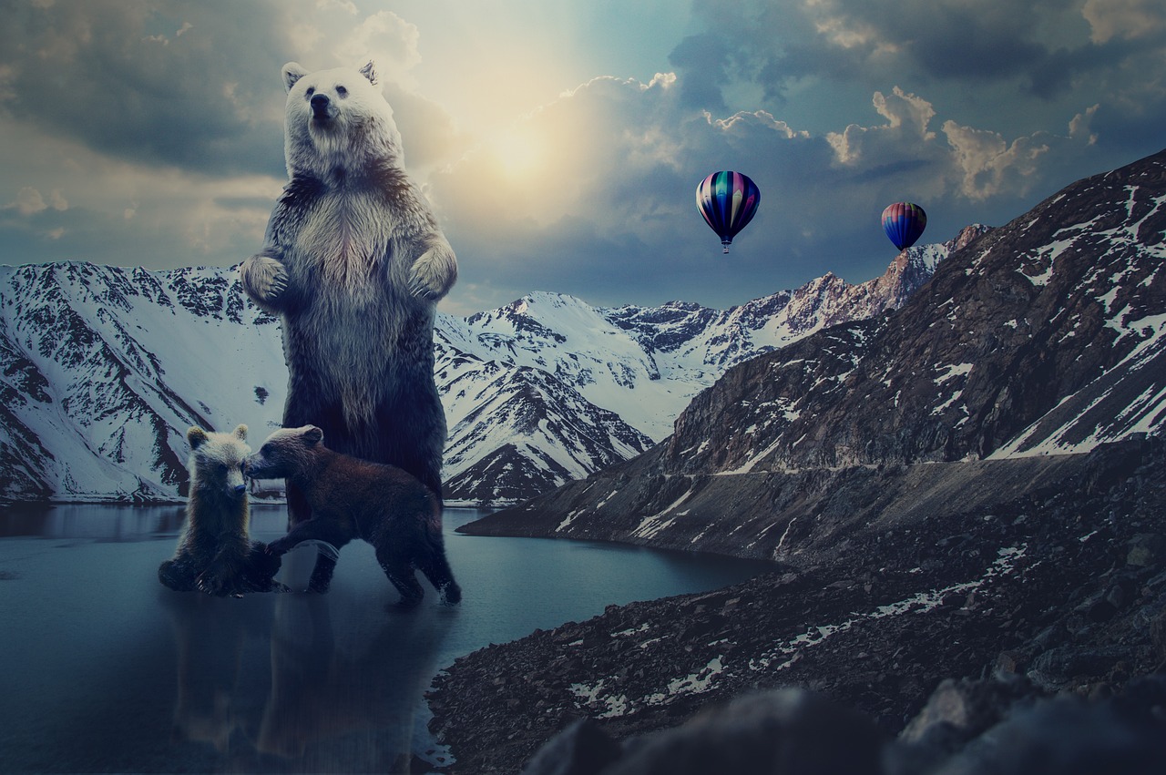 帝王雷最新版本下載，探索與體驗之旅