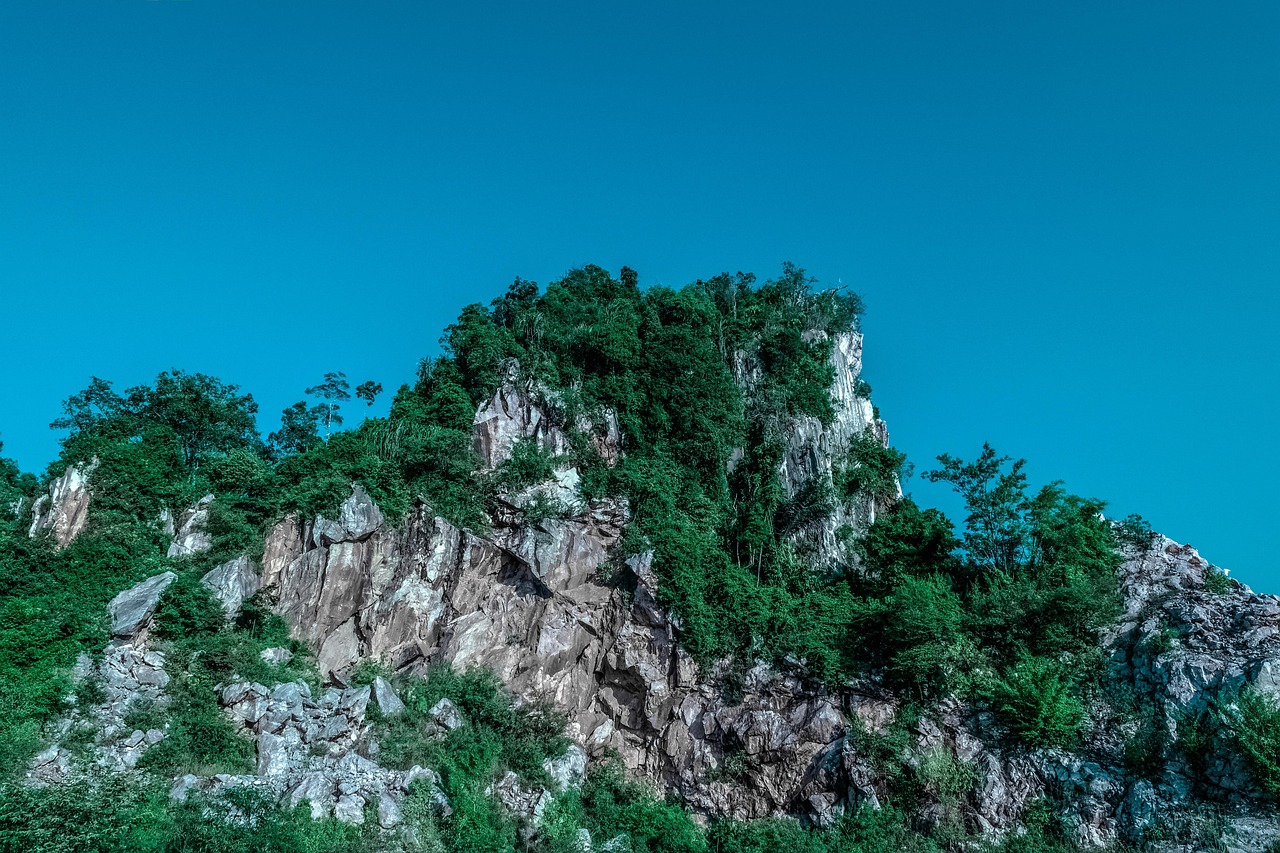 傳藝科技股票最新消息綜述，掌握最新動態(tài)，洞悉股市走向