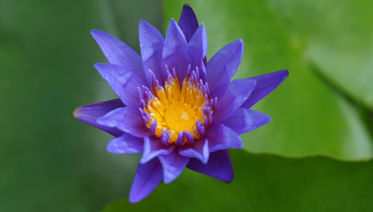 雙陽區(qū)火車站邁向現(xiàn)代化，提升服務(wù)質(zhì)量，最新動(dòng)態(tài)報(bào)告