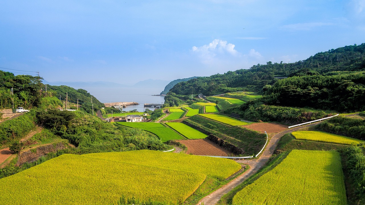 廣西靈山高速建設(shè)進展揭秘，最新消息與未來展望