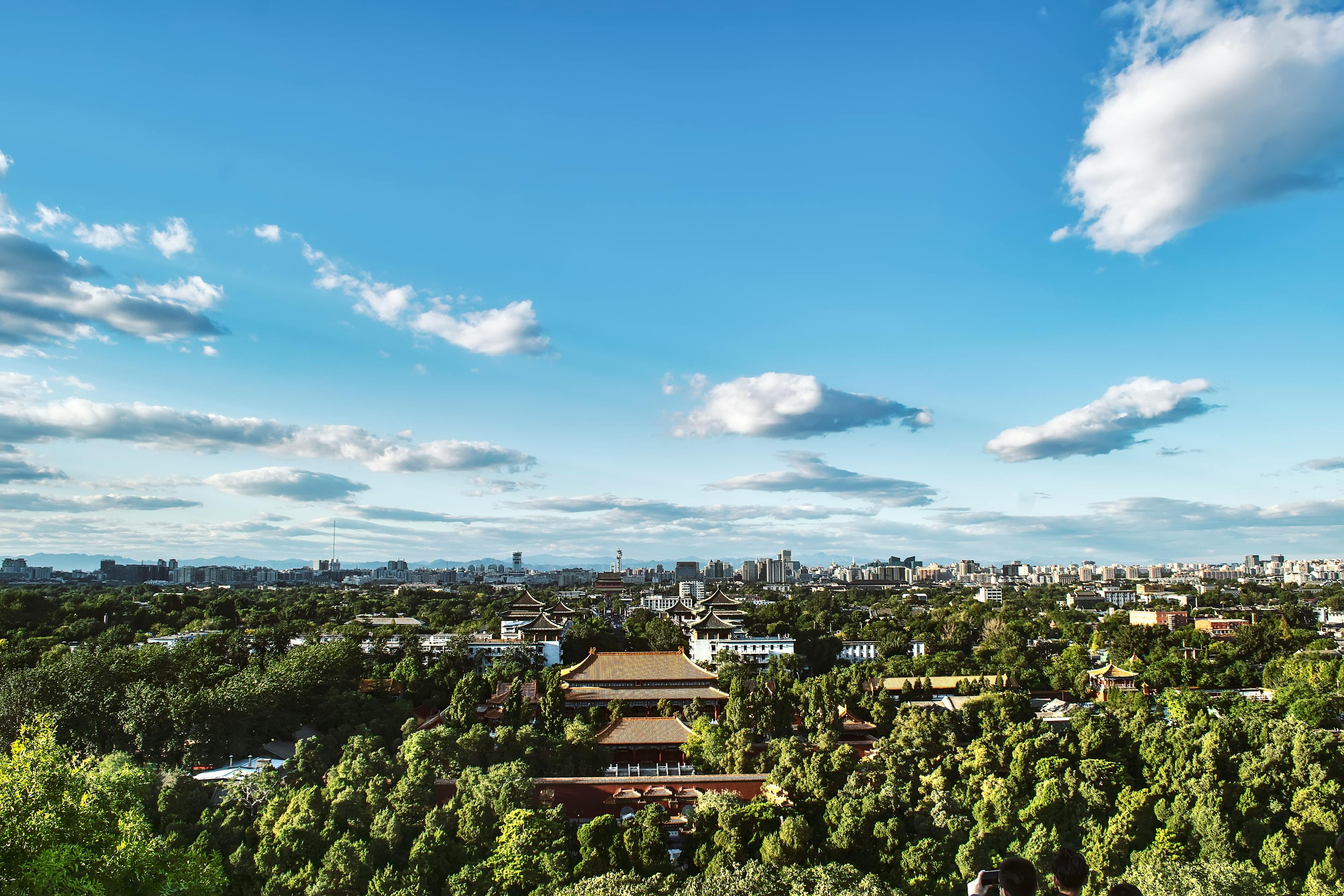 長(zhǎng)沙洞井路最新動(dòng)態(tài)，城市發(fā)展與民生改善同步前行