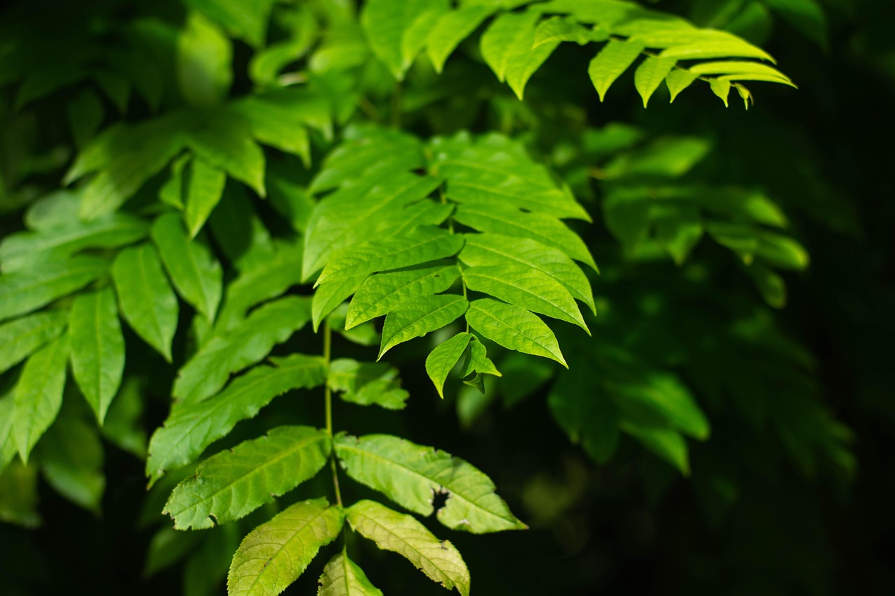 北海水印泉山最新動態(tài)，城市發(fā)展與綠色生態(tài)的和諧共鳴