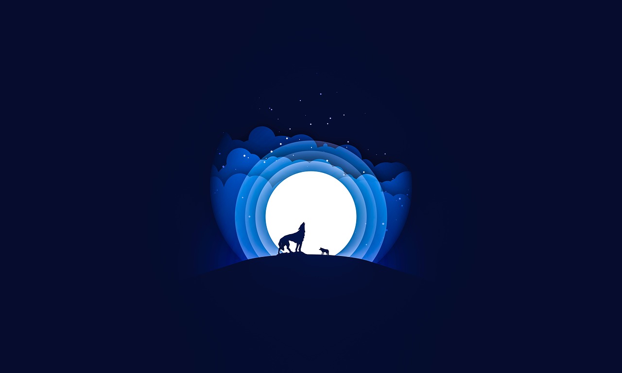 夜狼直播最新版本下載攻略，指南與體驗分享